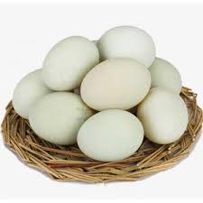 Duck egg 6 Piece