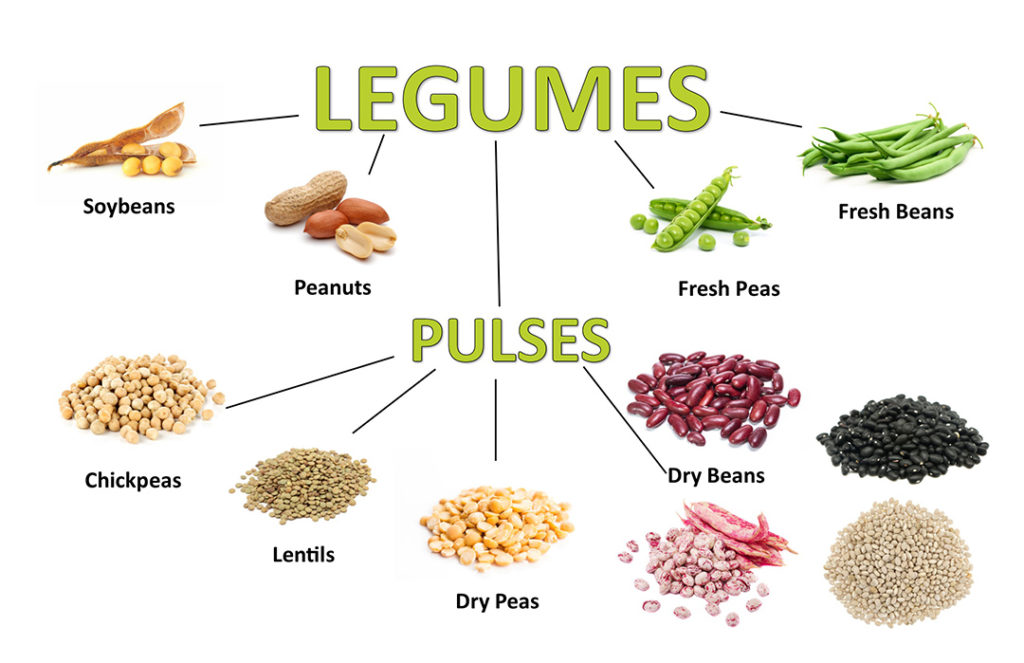 Seed vegetables